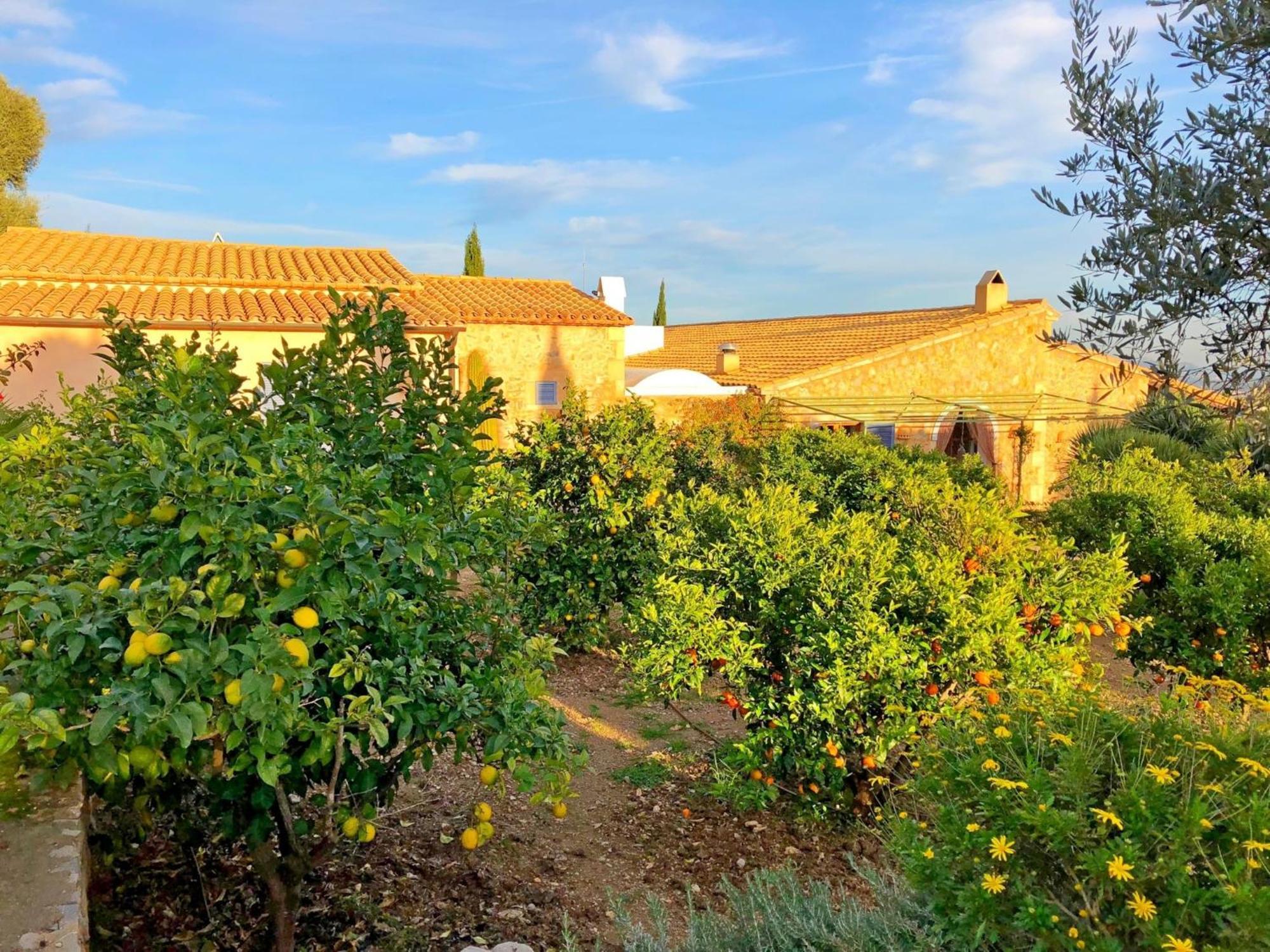 Country House Near Cala Torta Beach Villa Arta Exterior photo